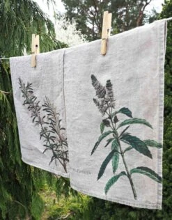 Oldenhof Mint & Rosemary Handdoek 42 X 60 Cm Linnen 2 Stuks