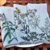 Oldenhof Herbs Servet 45 X 45 Cm Linnen 6 Stuks 2 Oldenhof Herbs Servet 45 X 45 Cm Linnen 6 Stuks -Exporteren Oldenhof winkel linen napkins spice herbs floral linoroom 6