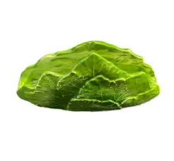 Oldenhof Blad Servethouder Aardewerk Groen -Exporteren Oldenhof winkel schermafbeelding 2023 07 10 143000