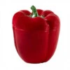 Bordallo Paprika Voorraadpot ø 22 Cm Aardewerk Rood -Exporteren Oldenhof winkel shkatulka pimento 28 sm krasnaya bordallo pinheiro