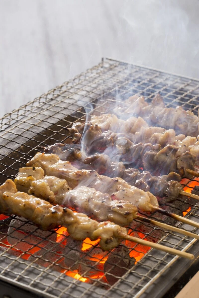 Oldenhof Konro Grill Diatomite Japanse barbecue B-11 77 x 23 x 20 cm Oldenhof Konro Grill Diatomite Japanse Barbecue B-11 77 X 23 X 20 Cm -Exporteren Oldenhof winkel shutterstock 556753543