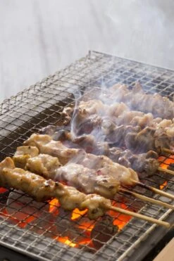 Oldenhof Konro Grill Diatomite Japanse Barbecue B-10 54 X 23 X 20 Cm -Exporteren Oldenhof winkel shutterstock 556753543 1
